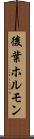 後葉ホルモン Scroll