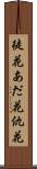 徒花 Scroll
