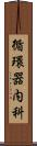 循環器内科 Scroll