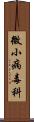 微小病毒科 Scroll