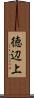 徳辺上 Scroll