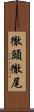 徹頭徹尾 Scroll