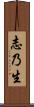 志乃生 Scroll