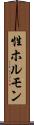 性ホルモン Scroll