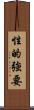 性的強要 Scroll