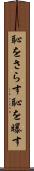 恥をさらす Scroll