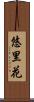 悠里花 Scroll