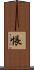 悵 Scroll