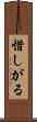 惜しがる Scroll