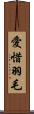 愛惜羽毛 Scroll