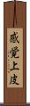 感覚上皮 Scroll