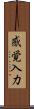 感覚入力 Scroll