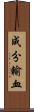 成分輸血 Scroll