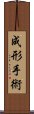 成形手術 Scroll