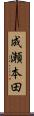 成瀬本田 Scroll