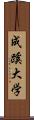 成蹊大学 Scroll