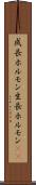 成長ホルモン Scroll