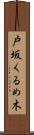 戸坂くるめ木 Scroll