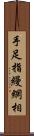 手足指縵網相 Scroll