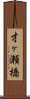 才ヶ瀬橋 Scroll