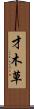 才木草 Scroll