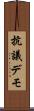 抗議デモ Scroll