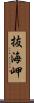 抜海岬 Scroll