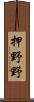押野野 Scroll