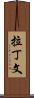 拉丁文 Scroll