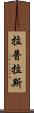 拉普拉斯 Scroll