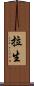 拉生 Scroll
