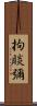拘睒彌 Scroll