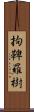 拘鞞羅樹 Scroll