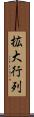 拡大行列 Scroll