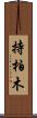 持柏木 Scroll