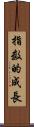 指数的成長 Scroll