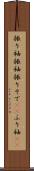 振り袖 Scroll
