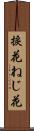 捩花 Scroll