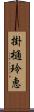 掛樋玲恵 Scroll