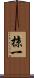掠一 Scroll