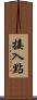接入點 Scroll