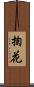 掬花 Scroll