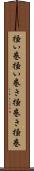 掻い巻 Scroll