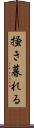 掻き暮れる Scroll