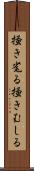 掻き毟る Scroll