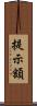 提示額 Scroll