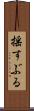 揺すぶる Scroll