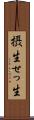 摂生 Scroll