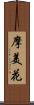 摩美花 Scroll