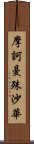 摩訶曼殊沙華 Scroll